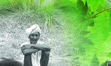 NCERT Class 9 Social Science Book - Economics 1