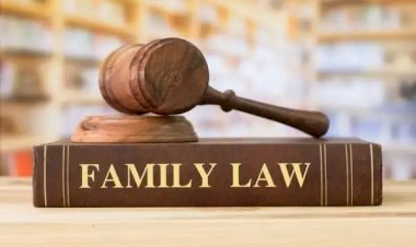 SEO for Family Law | Complete Research [2024] To rank on Google