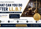 After LLB Career Opportunities (Study & Business) - Complete Guide 2026