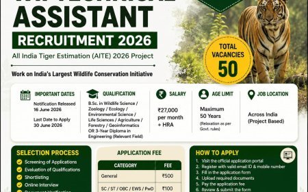 WII AITE Technical Assistant Recruitment 2026 : 50 Technical Assistant Posts
