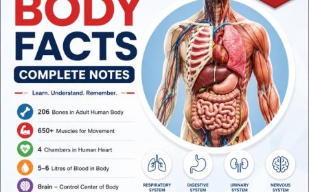 Human Body Facts: 100+ Amazing Facts & Complete Notes PDF